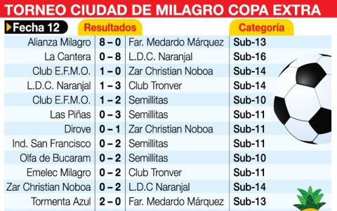 Así quedaron los resultados de los partidos del domingo 12 de diciembre.