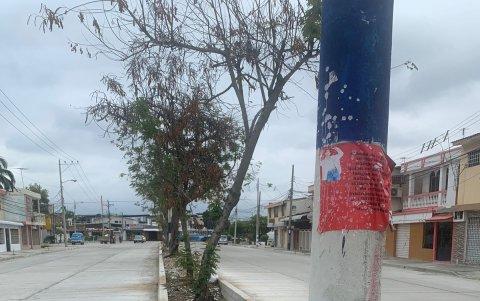 Así luce el parterre central de la avenida Cayetano Tarruel, en Los Esteros.