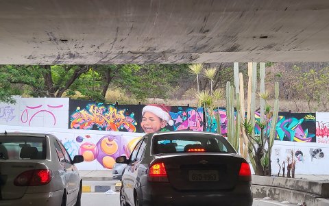 El mural visto desde el paso a desnivel en la Avenida del Bombero.