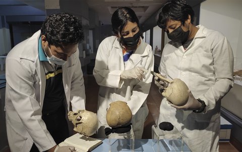 El equipo contó con personal de apoyo para su labor.