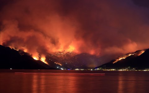 Fuego. Los incendios en Turquía destrozaron 160.000 hectáreas.