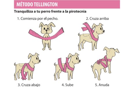 Aplica este vendaje y darás a tu mascota mucha más tranquilidad.