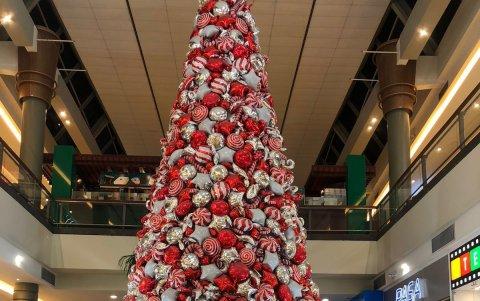 La familia Larena Reyes aún mantiene los cuidados y medidas de prevención para proteger a su pequeño Luis, quien nació en octubre de 2020