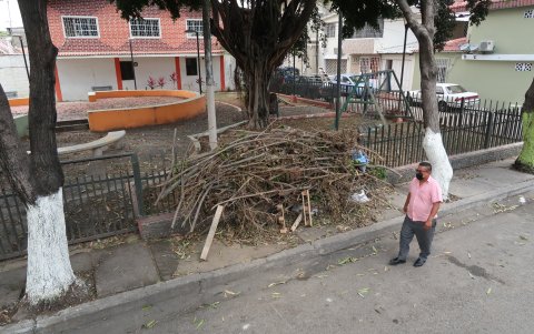 Los parques están descuidados y sirven de refugios para personas de dudosa procedencia.