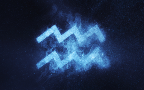 Referencial Acuario.