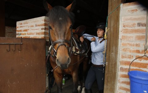 Priscila Simpson mima a su querido Cretchon. Afirmó que no le puede faltar nada a su caballo.
