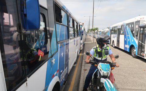 Hasta hace unos días, decenas de unidades permanecieron paralizadas.