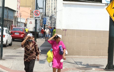 Hecho. Ante la falta de sombra, hasta los papeles son usados para mitigar el problema.