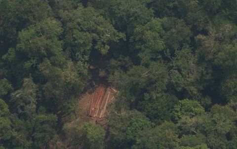 Amazonas. Área deforestada de la selva de Porto Velho (Brasil).