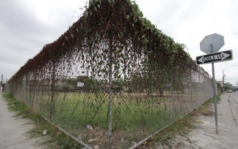 Aquí debería construirse el mercado de Los Vergeles