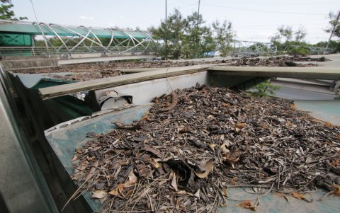 Es evidente la falta de mantenimiento en la estructura de Puerto Hondo.