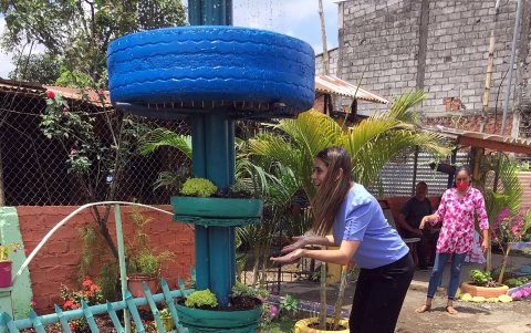 Comunidad. Trabajos con plantas y piedras, además de un mural, son apenas algunas de las acciones que ha ejecutado el vecindario.