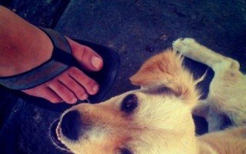 La primera foto compartida en Instagram en el año 2010 por Kevin Systrom, cofundador de la app.