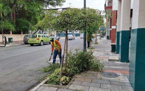 21 especies fueron podados