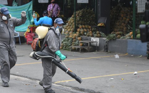 La fumigación se realizo en 40 mercados   13