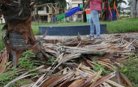 Los parques descuidados sirven de guaridas para los delincuentes.