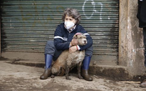 Rescate. Una funcionaria de Rescate Animal del Municipio rescató a una mascota este miércoles.