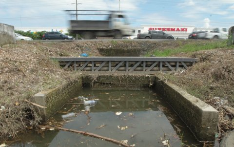 El canal mantiene el agua estancada y algunas zonas tapadas
