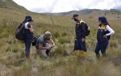 Técnicos del Gobierno Provincial trabajan también en el monitoreo y la investigación de especies.
