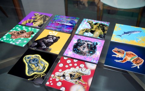 Ilustraciones que forman parte de 'Habitarts', colección de NFTs.