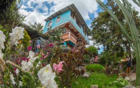 Jardines. En el lugar hay una enorme colección de plantas.
