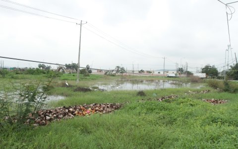 Este es el terreno que los vecinos piden regenerar y convertir en un espacio público o de encuentro.