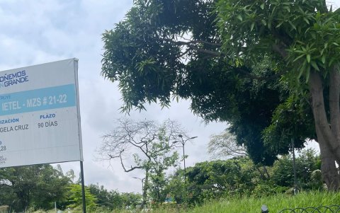 El monte supera el metro de altura.