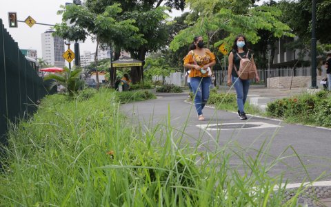 Abandono. La maleza ha crecido e invadido los bordillos de la ciclovía de la avenida Delta, originando mal aspecto en la zona.
