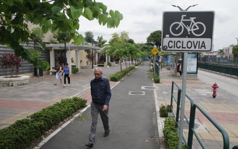Descuido. Plantas marchitas, incluso basura, se observan a lo largo de este espacio.