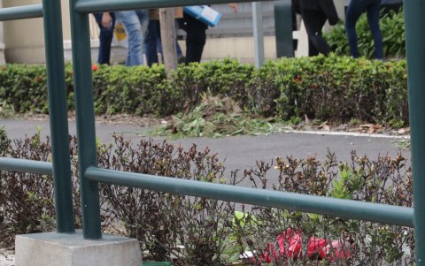 La ciudadanía lamenta que haya personas que arrojen la basura en un espacio que debería ser cuidado por la comunidad.