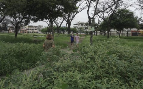 Las áreas verdes están llenas de maleza y ocupadas por personas en situación de calle. Los vecinos tienen miedo a acudir a estos lugares, aunque muchos se arriesgan.