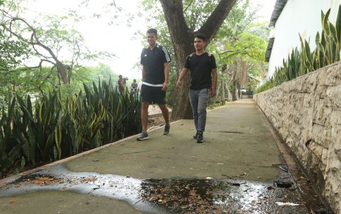 Los adoquines rosados ahora son verdes por el moho y la lama que han adquirido, debido a la falta de una limpieza apropiada.