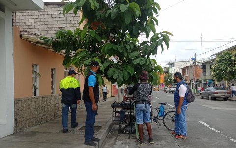 Los trabajadores del municipio se encargaron de los trabajos
