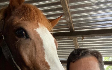 Jorge Alvear junto a su yegua Amistad, nacida en el criadero del fallecido exalcalde y presidente ecuatoriano León Febres Cordero.