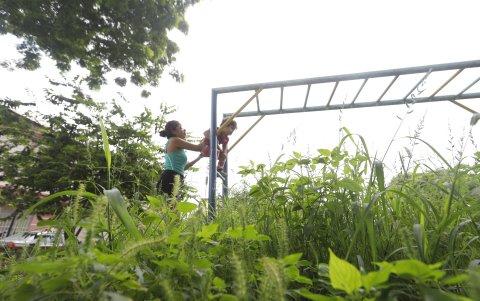 Los niños no pueden jugar debido al monte que está muy crecido