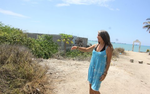 Maleza. Este es el escenario que rodea a las ciudadelas, maleza por todos lados, además de solares vacíos y áreas sin veredas ni parterres.