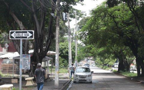 El crecimiento desmedido de los árboles en Sauces IV ocasiona problemas en el cableado..