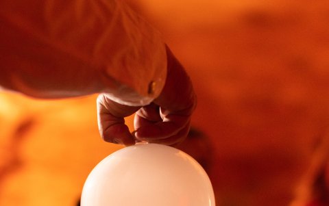 Experiencia gastronómica ‘Forces of Nature’ en AlUla, plato ahumado. Foto de Bompas & Parr Studio.