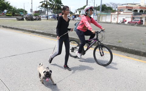 Muchas participantes aprovecharon para pasear con sus mascotas.