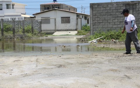Sobre los charcos revolotean ya decenas de mosquitos, de forma permanente.