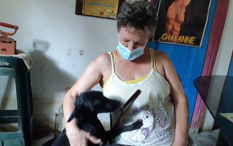 Mónica Gilly vive rodeada de sus mascotas quienes son asistidas por una fundación animalista.