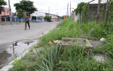 Varios solares vacíos se han convertido en guarida de delincuentes. Piden al Municipio que los cierre.