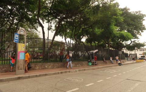 La mayoría de expertos apuntan a una buena iluminación y seguridad en los parques de la ciudad, para disminuir hechos delictivos.