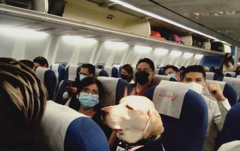 Hace un poco más de un mes, Aldo realizó su primer viaje en avión.