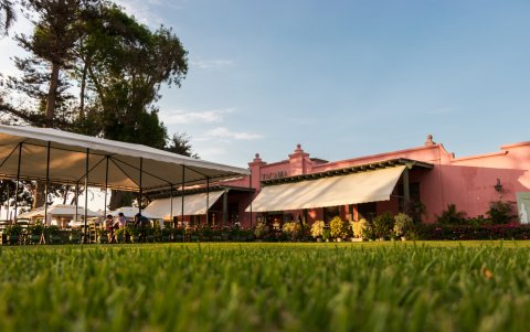 Estas tierras tienen condiciones únicas para el cultivo de uvas.