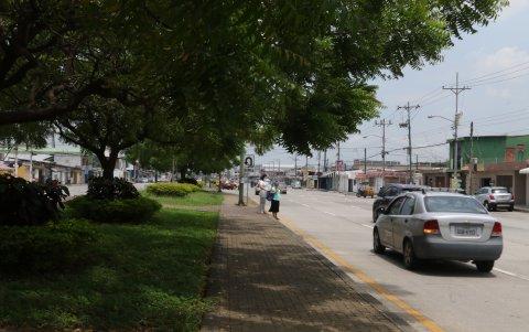 3. Arborización. A la altura de La Garzota y Sauces, los ocho carriles tienen frondosos árboles.