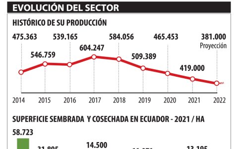 El sector productivo, en cifras