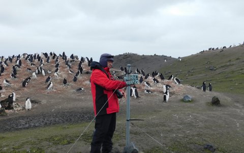 El científico e investigador del Museo de Ciencias Naturales de Madrid (MNCN), del CSIC, realizando estudios en una colonia de pingüinos en la Antártida.