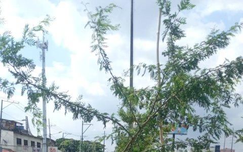 Los trabajos los realizaron entre ayer y hoy en el sitio.