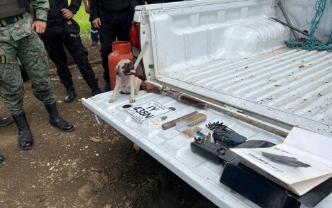 Algunas de las armas y balas que se encontraron en el operativo.